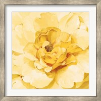 Framed Yellow Peony