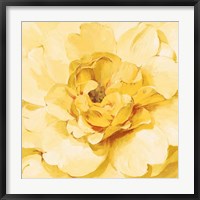 Framed Yellow Peony