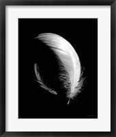 Framed Dream Feathers