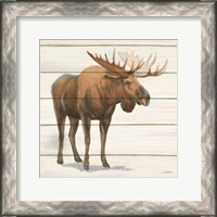 Framed Northern Wild VI