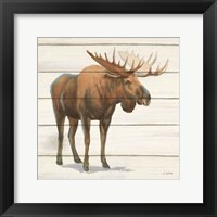 Framed Northern Wild VI