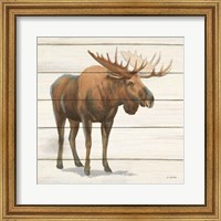 Framed Northern Wild VI