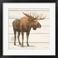 Northern Wild VI Framed Print