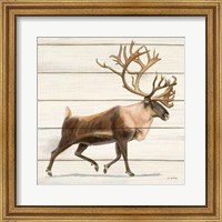 Framed Northern Wild IV