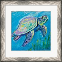 Framed Sea Turtle Swim