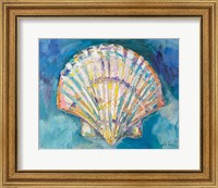 Framed Scallop Shell