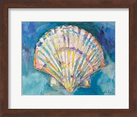 Framed Scallop Shell