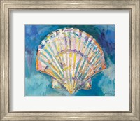 Framed Scallop Shell