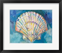 Framed Scallop Shell