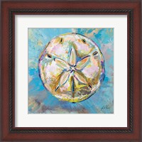 Framed Sand Dollar