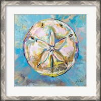 Framed Sand Dollar