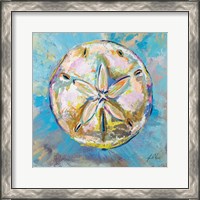 Framed Sand Dollar