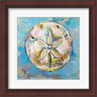 Framed Sand Dollar