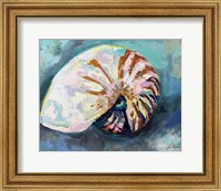Framed Nautilus Shell
