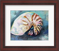 Framed Nautilus Shell
