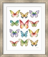 Framed Colorful Breeze Butterflies