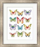 Framed Colorful Breeze Butterflies