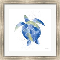 Framed Sea Turtle