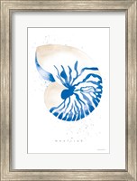 Framed Nautilus