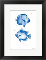Framed Tropical Fish