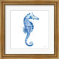 Framed Seahorse