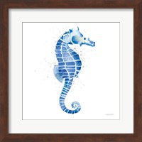 Framed Seahorse