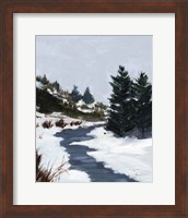 Framed Winter Trails