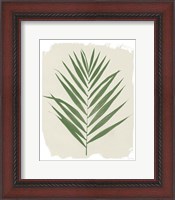 Framed Nature By the Lake Frond III Cream