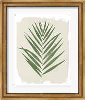Framed Nature By the Lake Frond III Cream