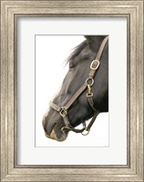 Framed In Halter