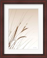 Framed Field Grasses I Sepia