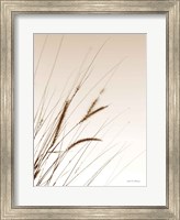 Framed Field Grasses I Sepia