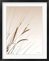 Framed Field Grasses I Sepia