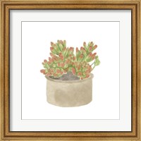 Framed Simple Succulent I