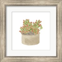 Framed 'Simple Succulent I' border=