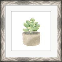 Framed Simple Succulent II