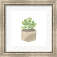 Framed Simple Succulent II