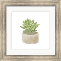 Framed Simple Succulent III