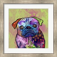 Framed Colorful Pets III
