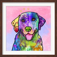 Framed Colorful Pets IV
