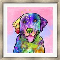 Framed Colorful Pets IV