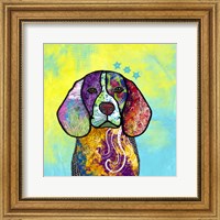 Framed Colorful Pets V