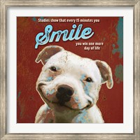 Framed Pet Sentiment I-Smile