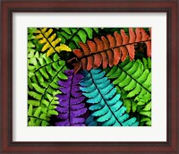 Framed Feel the Fern