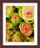 Framed Green & Pink Rose Bouquet