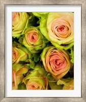 Framed Green & Pink Rose Bouquet