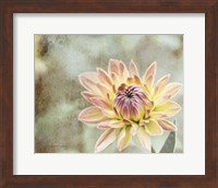 Framed Impression Flower