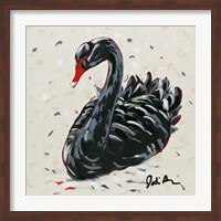 Framed Black Swan