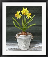 Framed Farmhouse Garden I-Daffodils