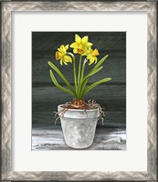 Framed Farmhouse Garden I-Daffodils